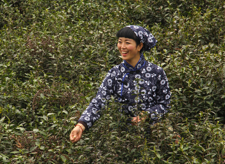 最新8